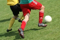 IMG78087