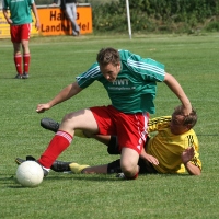 IMG78137