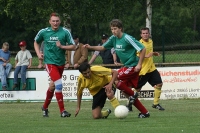 IMG78381