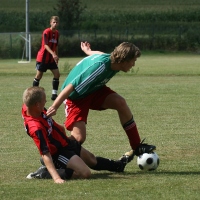 IMG87434