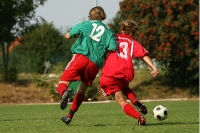 IMG88767