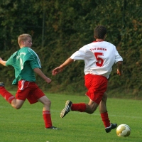 IMG88835