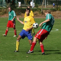 IMG90246