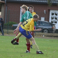 IMG90311
