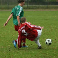 IMG90990