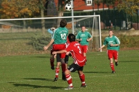 IMG91782