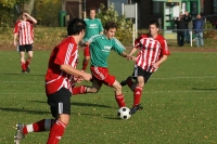IMG91784