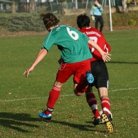 IMG91817