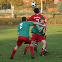 IMG92082