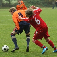 154136_IMG92150