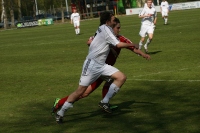 IMG99519