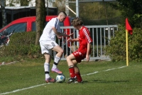 IMG99549