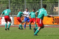 IMGA1677