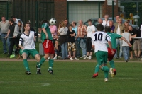 20100529 041
