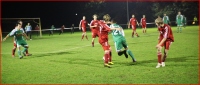 205332_IMG_5020
