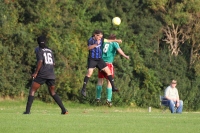 DK5G2004