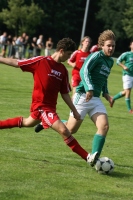 IMG43379