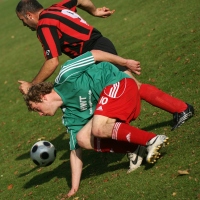 IMG46616