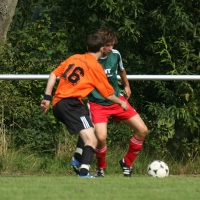 IMG40762