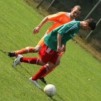 IMG45913