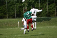 IMG72929