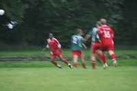 IMG42911