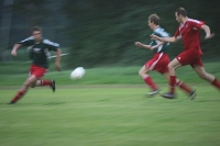 IMG42981