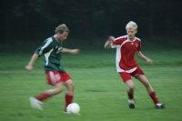 IMG43000