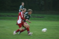 IMG43011