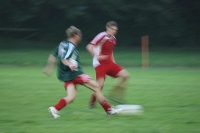 IMG43012