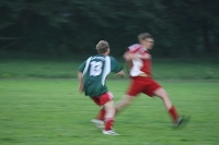IMG43013