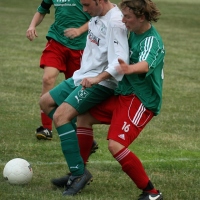 IMG82789