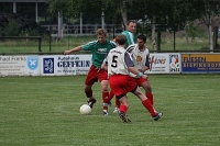 IMG84611