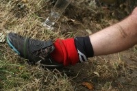IMG45618
