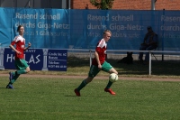 DK5G4961