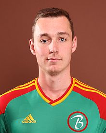 Dominik <b>Swigon</b>